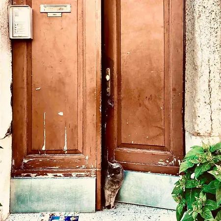 Tipitapi Attic Dreamy Studio, Off-site Parking דירה רוביני