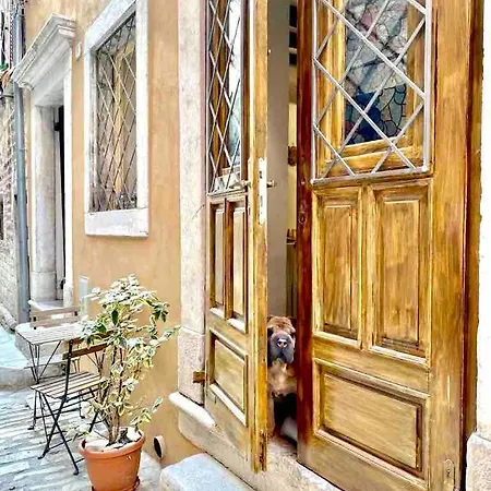 Tipitapi Attic Dreamy Studio, Off-site Parking דירה רוביני
